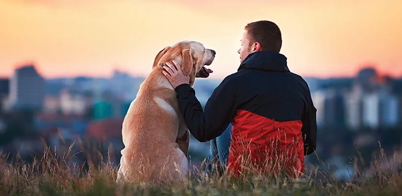 A man and his dog sitting in the grass overlooking the city.