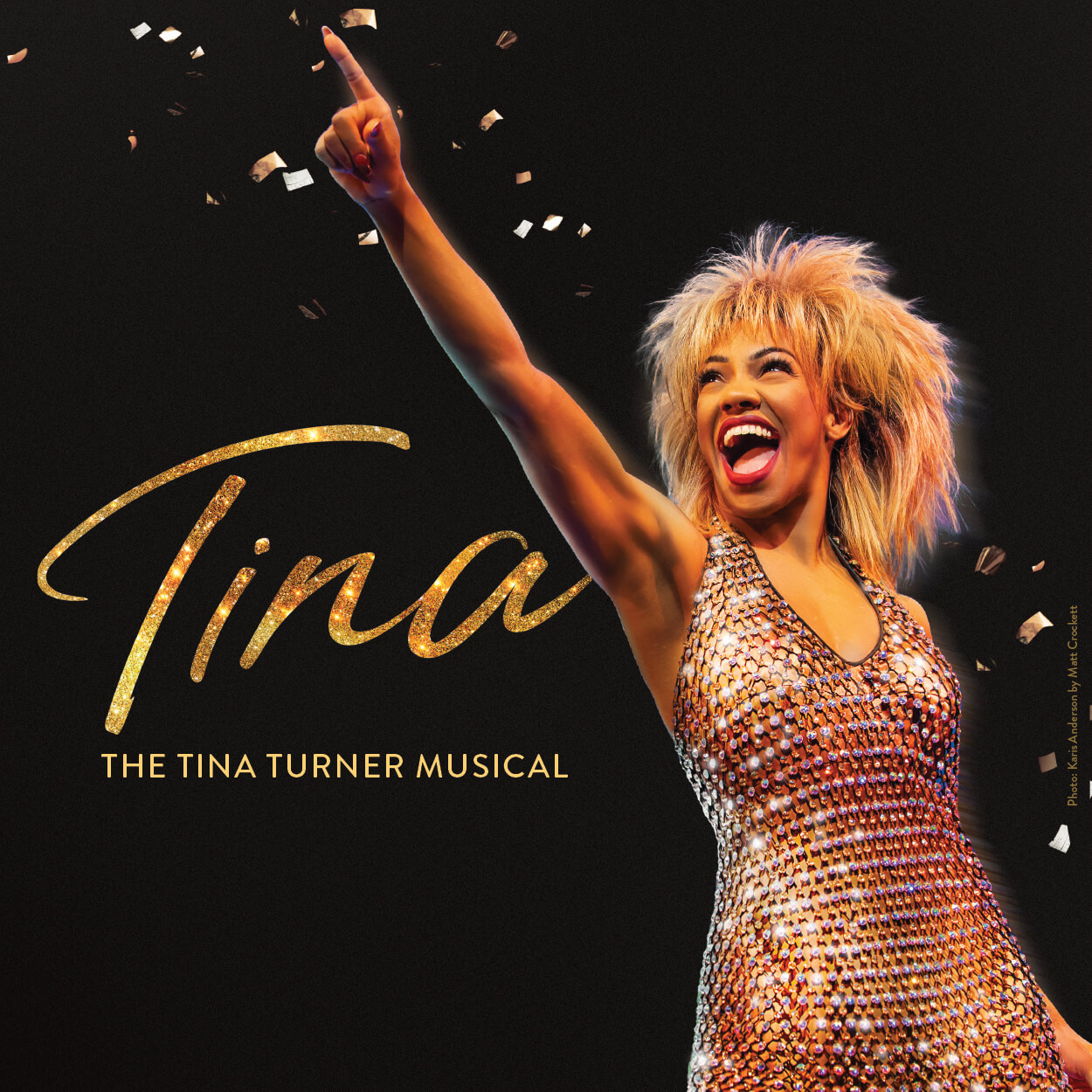 Tina - The Tina Turner Musical